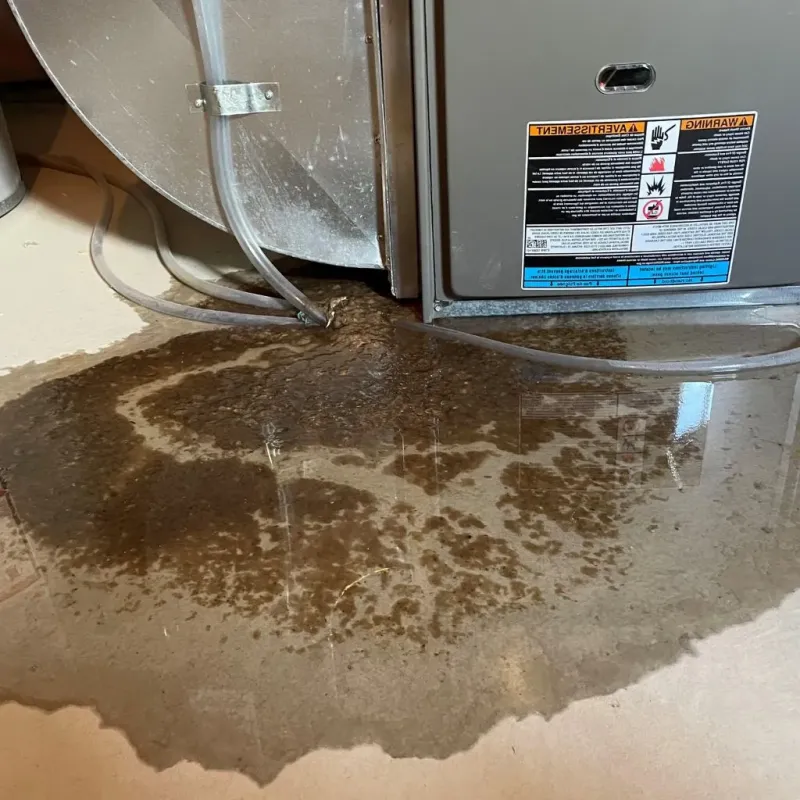 Pipe Burst and Leak Restoration in Fayette County, KY