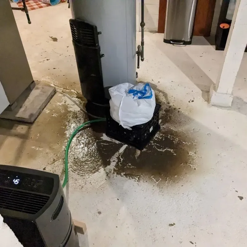 Sewage Backup Cleanup Service in Fayette County, KY